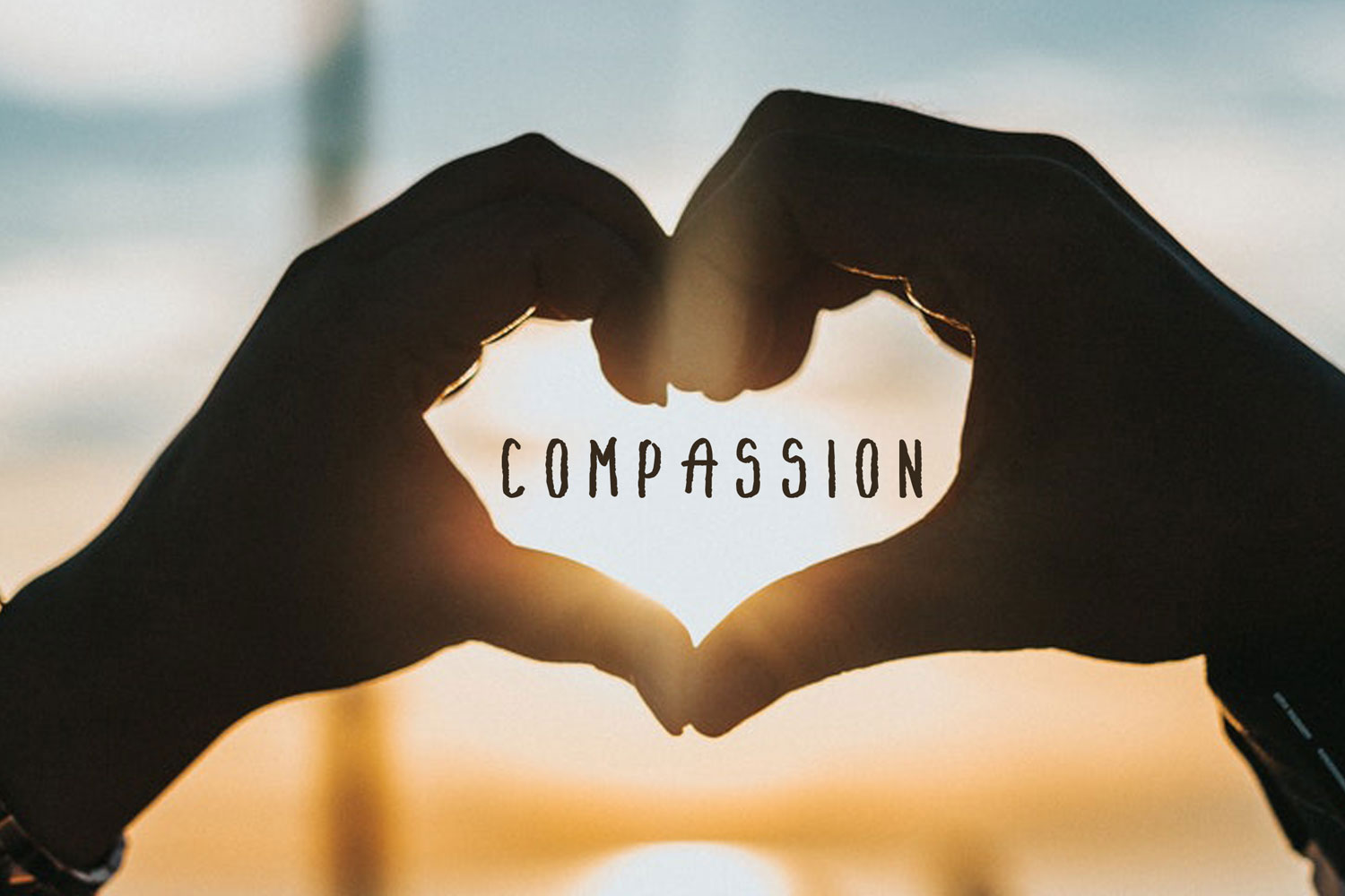 Compassionate Marketing – A Futuristic Strategic Marketing Tool to Win the Hearts and Minds of Consumers 