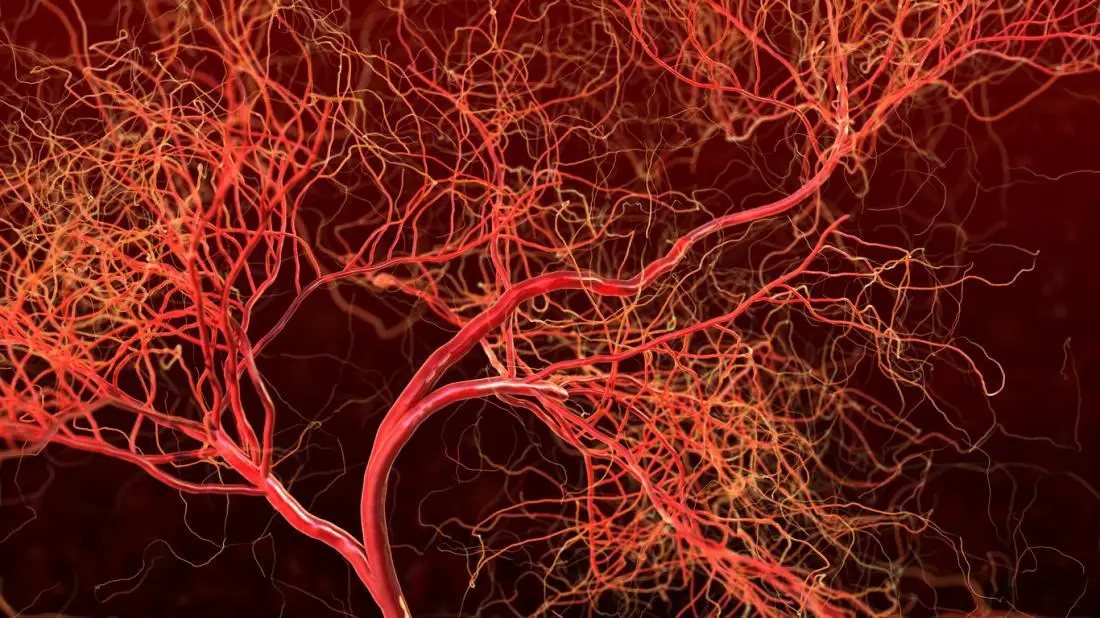 Coming, super sensitive test to detect cancers, HIV