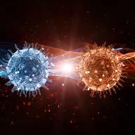 Comparative Study of Alpha Decay and Double Alpha Decay in Heavy and Super-heavy Nuclei